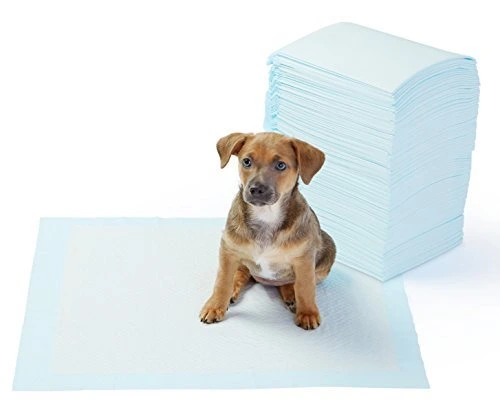 *AmazonBasics Pet Training and Puppy Pads, Regular – 100 Count